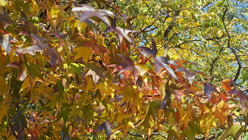 Public Golf Course «Rocky Point Golf Course», reviews and photos, 1935 Back River Neck Rd, Essex, MD 21221, USA