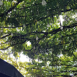 Photo n°2 de l'avis de Monika.u fait le 25/09/2018 à 20:34 sur le  Shaval à Pompei