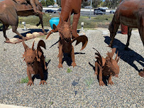 Waterwise Yard Design & Decor - Photo 6 - Car repair in Murrieta, CA, Murrieta