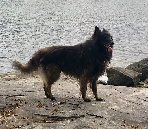 Flower Power VT Farm