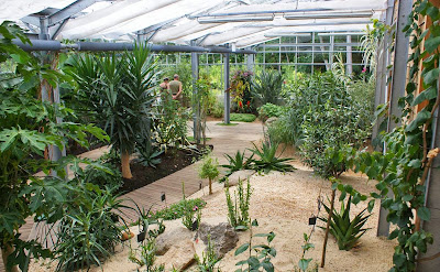 Jardin Camifolia à Chemillé-en-Anjou