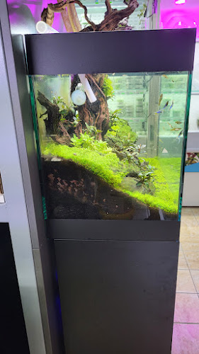 Profiplants s.r.o. telefonní číslo