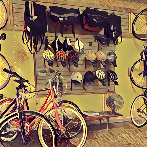 Bicycle Store «Small Shop Cycles & Service», reviews and photos, 4250 S Cottage Grove Ave, Chicago, IL 60653, USA
