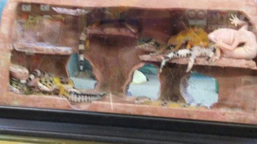 Pet Supply Store «Petco Animal Supplies», reviews and photos, 545 W Prien Lake Rd, Lake Charles, LA 70601, USA