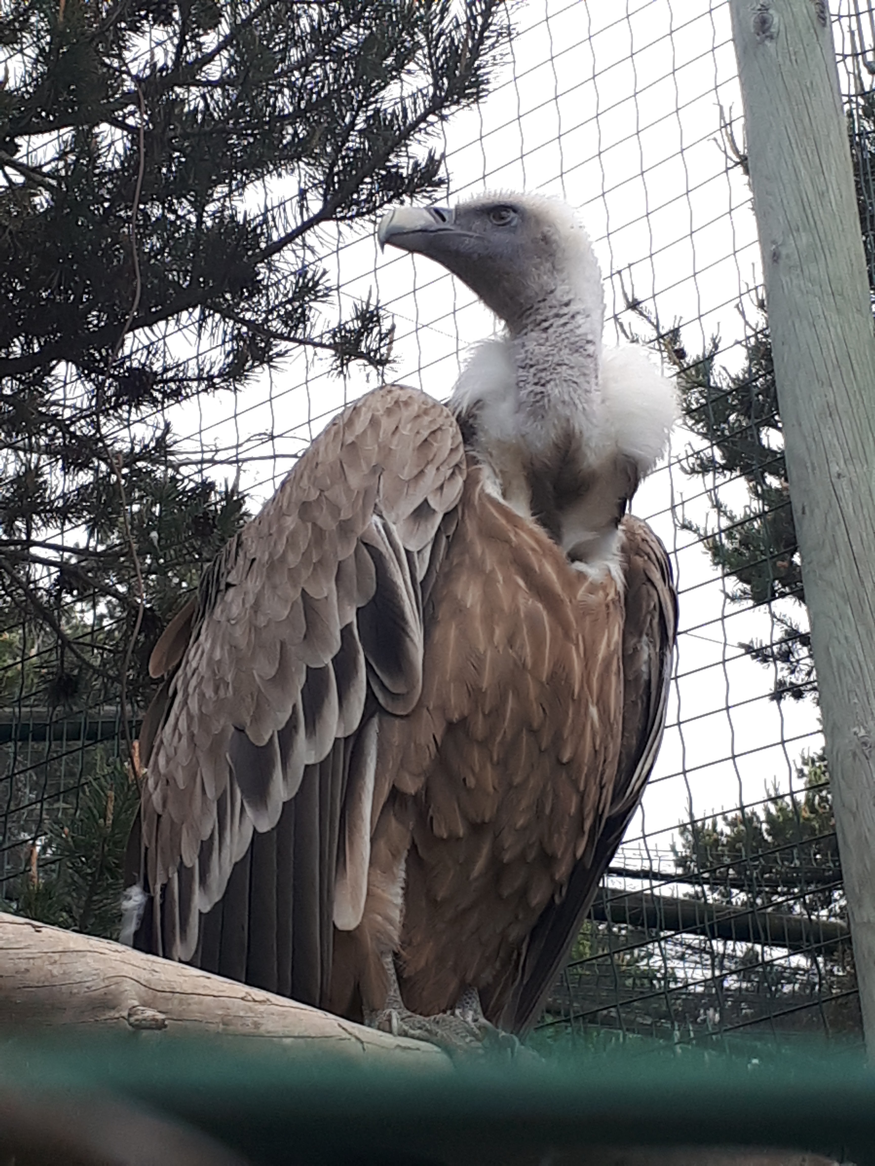 Photo n° 7 de l'avis de Nath.� fait le 16/05/2018 à 21:32