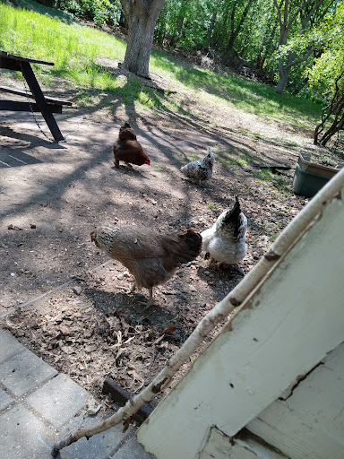 Home Improvement Store «The Home Depot», reviews and photos, 3220 Denmark Ave, Eagan, MN 55121, USA