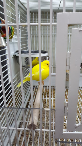 Pet Supply Store «Pet Supplies Plus», reviews and photos, 135-25 79th St, Howard Beach, NY 11414, USA