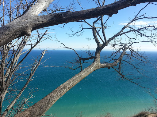 Public Golf Course «Manitou Passage Golf Club», reviews and photos, 4600 S Club Dr, Cedar, MI 49621, USA