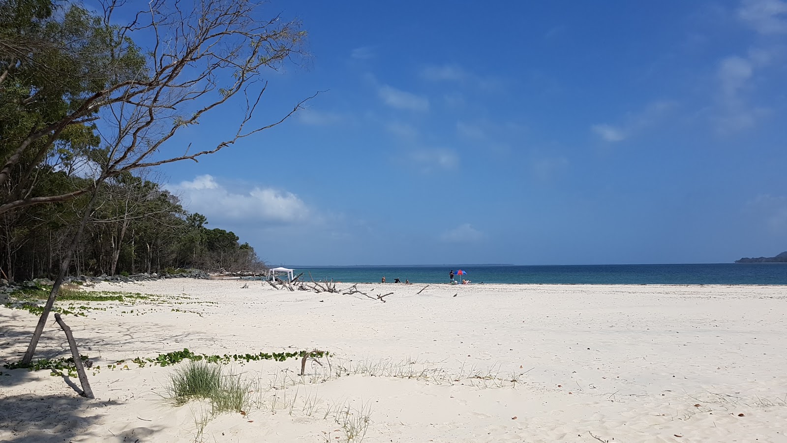 Fotografie cu Inskip Point Beach amplasat într-o zonă naturală