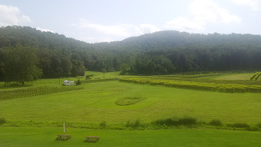 Winery «Loving Cup Vineyard & Winery», reviews and photos, 3340 Sutherland Rd, North Garden, VA 22959, USA