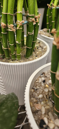 Garden Center at The Home Depot - Photo 5 - Car repair in Asheville, NC, Asheville