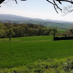 Photo n°5 de l'avis de klaus.v fait le 21/04/2019 à 18:06 sur le  Bernie's Café & Bistro à Otzberg