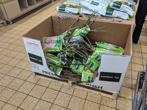 Supermarket «ALDI», reviews and photos, 1432 E Rand Rd, Prospect Heights, IL 60070, USA