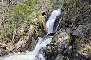 Campbell Falls State Park image