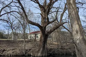 Cypress Creek Nature Preserve image