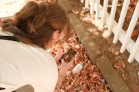 AM Group - Photo 6 - Car repair in Fayetteville, AR, Fayetteville