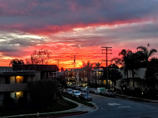 Camino De Oro Apartments