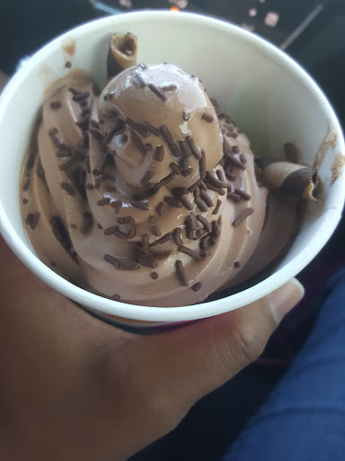 Frozen Yogurt Shop «Yogurtland», reviews and photos, 4170 Lavon Dr #176, Garland, TX 75040, USA