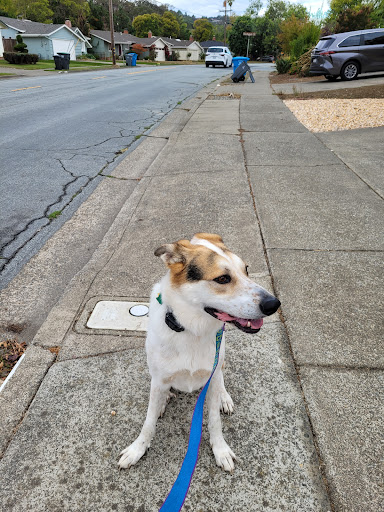 7077 Redwood Blvd, Novato, CA 94945, USA