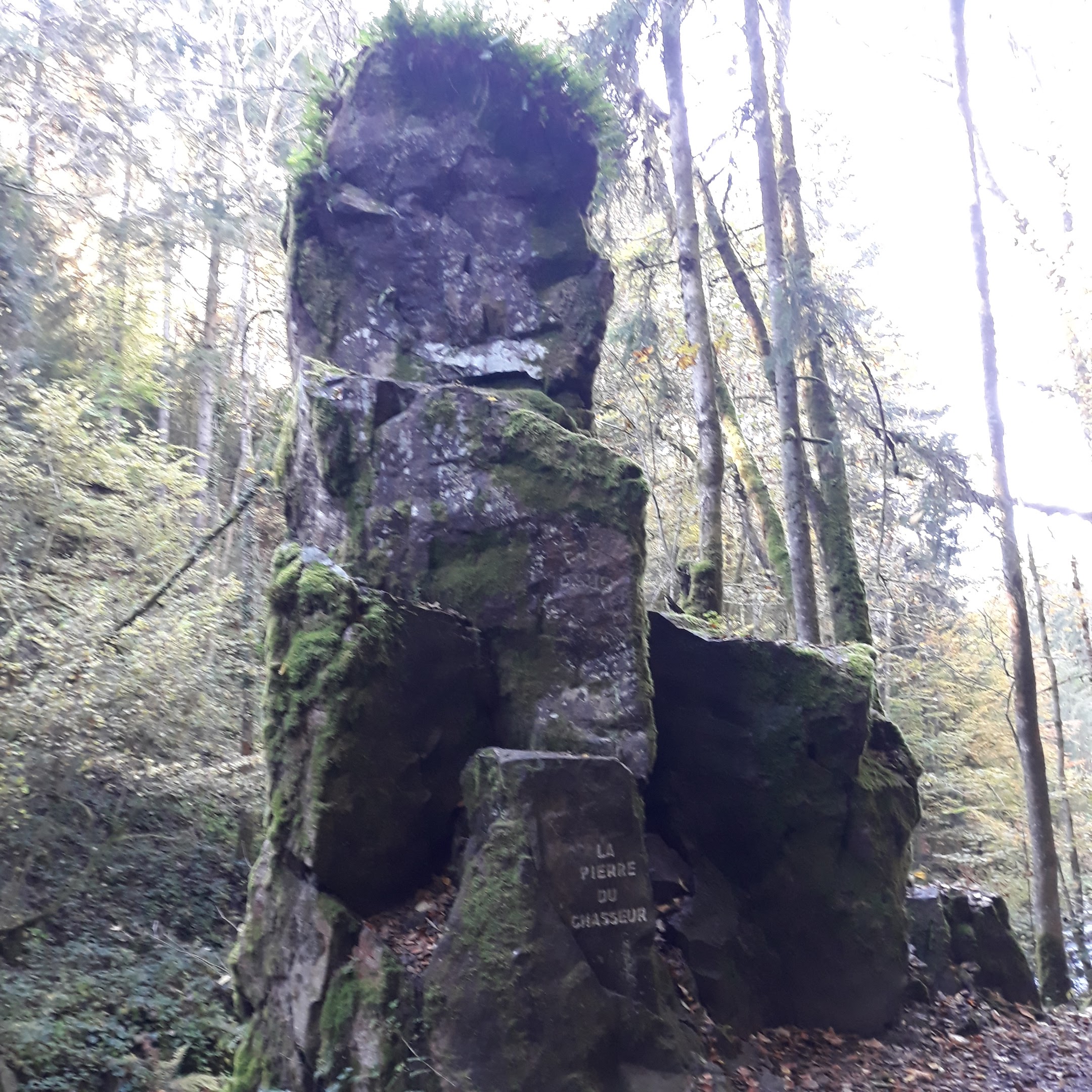 Photo n° 4 de l'avis de Ben. fait le 28/10/2021 à 14:22