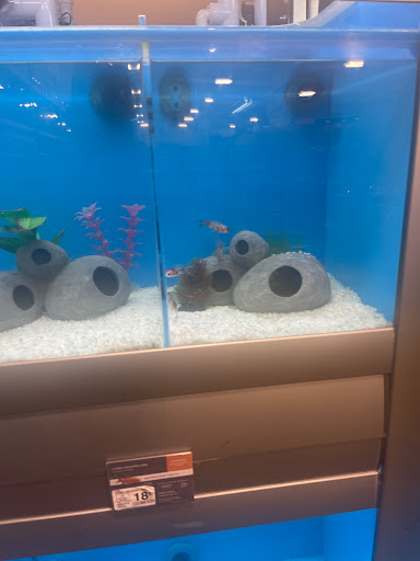 Pet Supply Store «Petco Animal Supplies», reviews and photos, 1945 W Palmetto St #250, Florence, SC 29501, USA