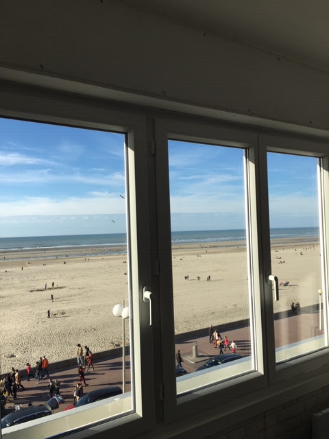 Photo n° 1 de l'avis de berck.p fait le 24/02/2021 à 14:56