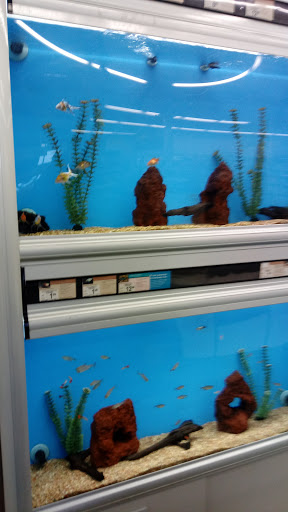 Pet Supply Store «Petco Animal Supplies», reviews and photos, 1540 Eastern Blvd, Montgomery, AL 36117, USA