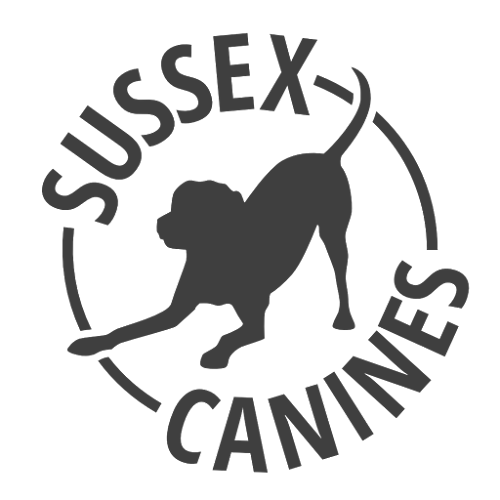 Sussex Canines - Dog trainer