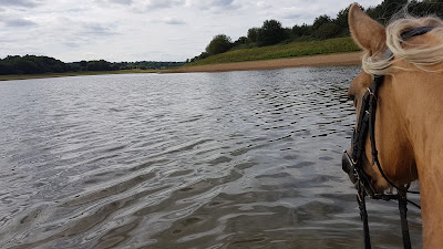 Centre Equestre des Lacs de Haute Charente à Pressignac