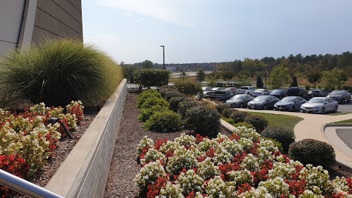 Sports Bar «Topgolf», reviews and photos, 20356 Commonwealth Center Dr, Ashburn, VA 20147, USA