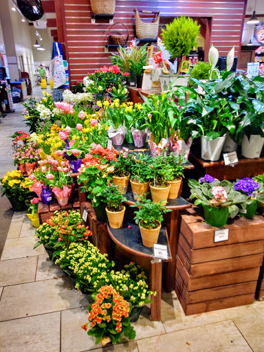 Grocery Store «The Fresh Market», reviews and photos, 8208-18 Germantown Ave, Philadelphia, PA 19118, USA