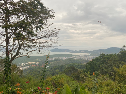 Monkey Hill Viewpoint