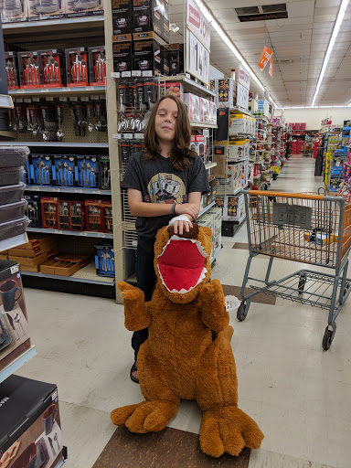 Discount Store «Big Lots», reviews and photos, 13970 N Cleveland Ave, Fort Myers, FL 33903, USA