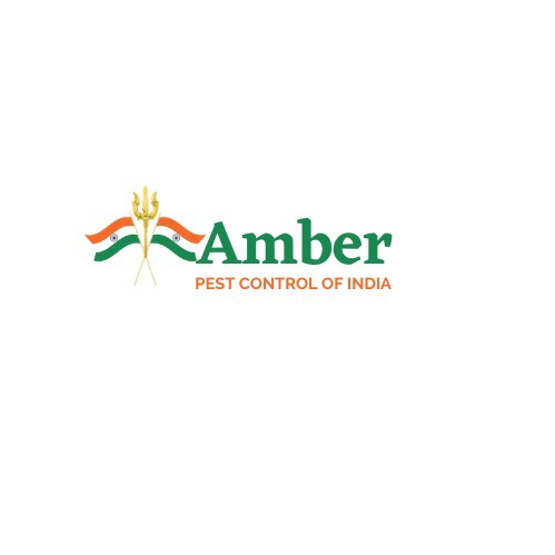 Amber Pest Control Of India