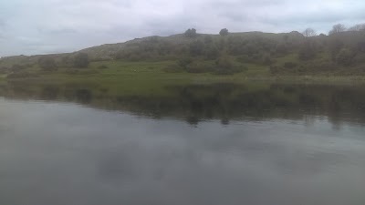 Photos of Lough Gur Birdwatch