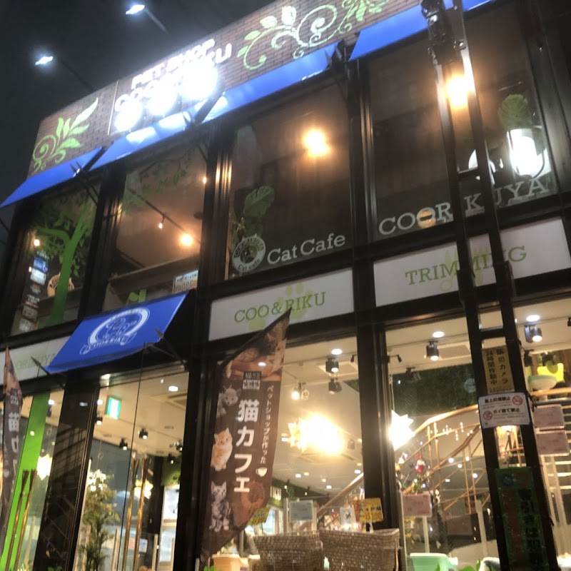猫カフェ 空陸家 赤坂ジャングル店