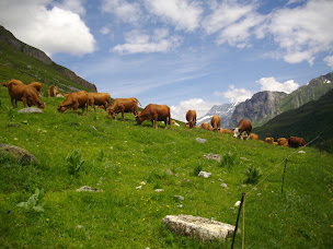 Photo n°107 de Refuge le Repoju à Pralognan-la-Vanoise ()