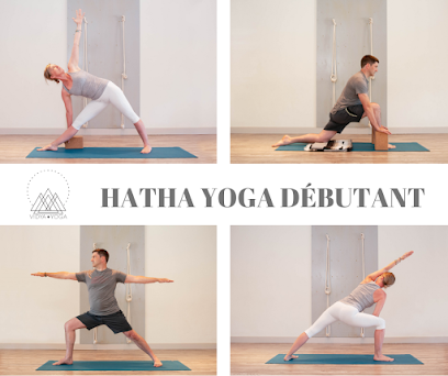 Vidya Yoga