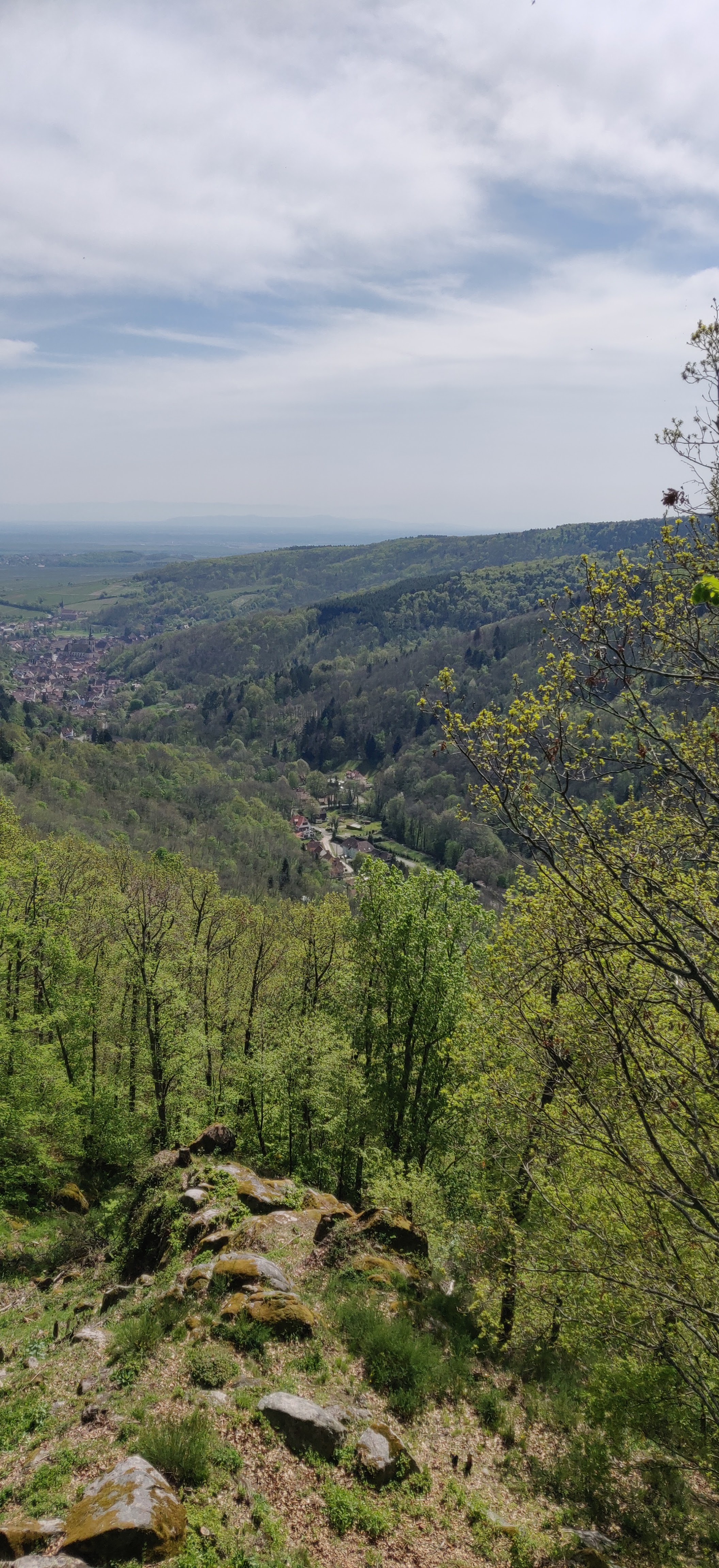 Photo n° 1 de l'avis de mathieu.a fait le 21/04/2019 à 12:14