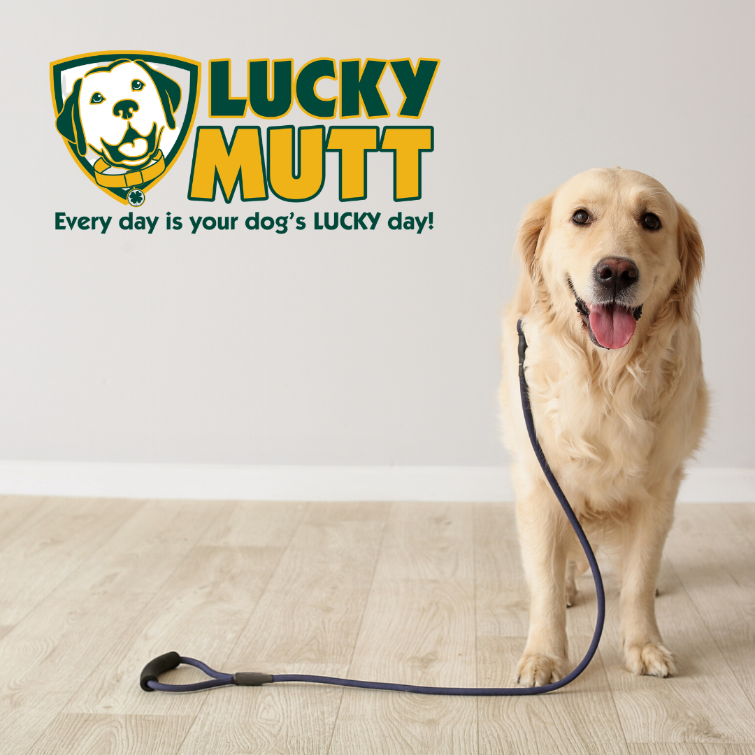 Lucky Mutt Dog Walking
