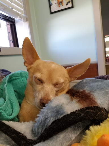 Eastridge Animal Hospital image