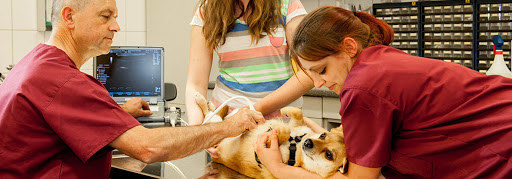 Dr. Holger Zieris veterinarian unter Hettenleidelheim, 