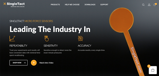 Phi Web Studio image