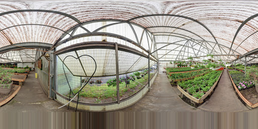 Florist «Powell the Florist», reviews and photos, 1215 Liberty Dr, Mishawaka, IN 46545, USA