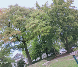 Haumannplatz photo