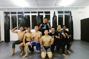 Strive MMA & Fitness Putrajaya image