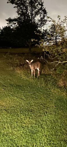 Golf Course «Hyatt HIlls Golf Complex», reviews and photos, 1300 Raritan Rd, Clark, NJ 07066, USA