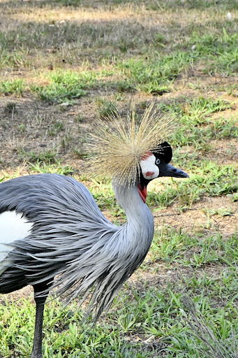 Park «Lake Tobias Wildlife Park», reviews and photos, 760 Tobias Road, Halifax, PA 17032, USA