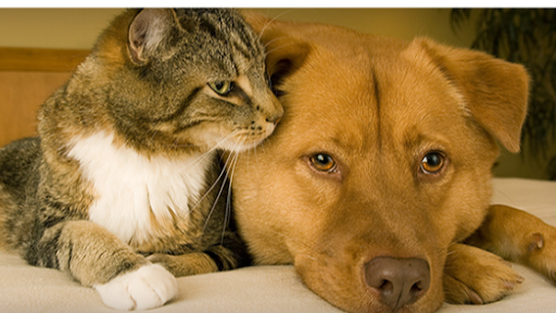 6003 Philips Hwy, Jacksonville, FL 32216, USA