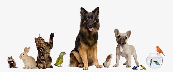 Serene Pet Sitting & Home Watch Services